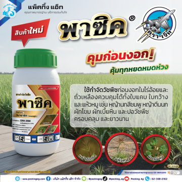 พาซิค